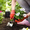 People who spend more time gardening tend to have fewer sleep problems