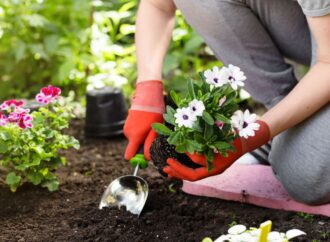 People who spend more time gardening tend to have fewer sleep problems