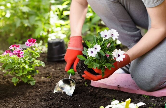 People who spend more time gardening tend to have fewer sleep problems