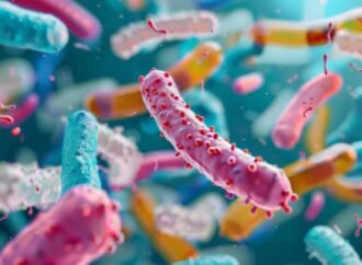 Gut Microbes Influence Autism-Related Behaviors