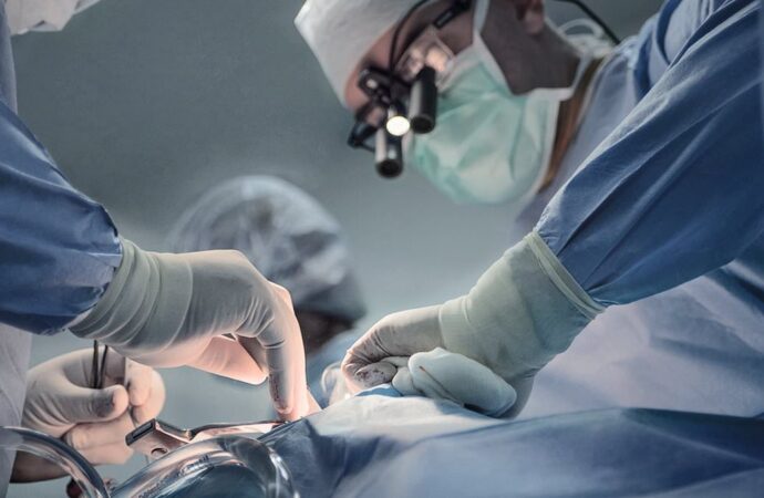 The Mysterious Heart: Can Organ Transplants Really Alter Our Memories and Preferences?