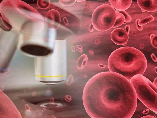 Unlocking the Secrets in Your Blood: How Routine Tests Could Be a Game-Changer for Health Predictions