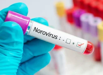 Battling the Stomach Bug: Navigating Norovirus Outbreaks with Care and Compassion