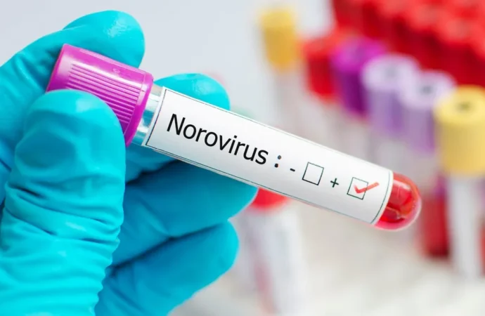 Battling the Stomach Bug: Navigating Norovirus Outbreaks with Care and Compassion