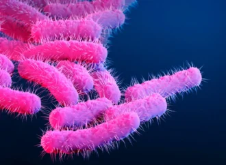 An Alarming Foe: Unpacking the Rise of Drug-Resistant Shigella in Los Angeles