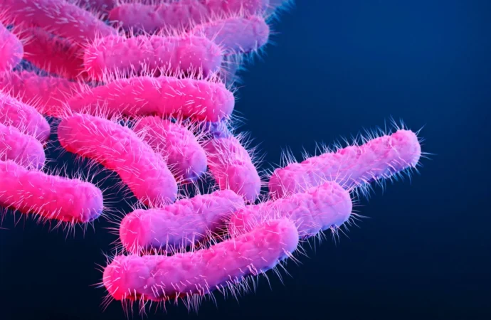 An Alarming Foe: Unpacking the Rise of Drug-Resistant Shigella in Los Angeles