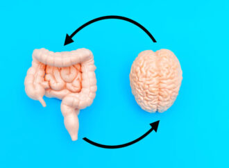 From Gut to Gray Matter: The Surprising Role of Microbes in Human Brain Evolution