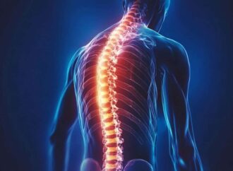 A New Frontier in Healing: Neural Stem Cell Transplants for Spinal Cord Injuries