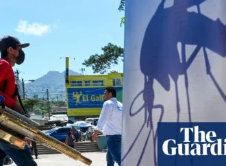 Dengue Fever’s Deadly Surge: The Climate Crisis’s Invisible Hand