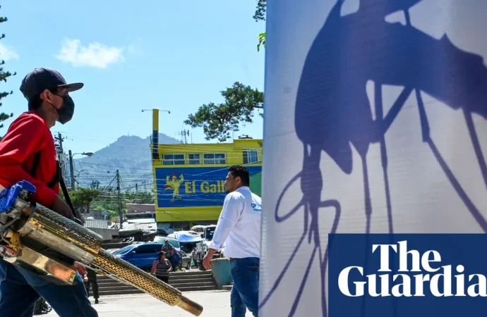 Dengue Fever’s Deadly Surge: The Climate Crisis’s Invisible Hand