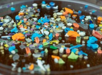 The Invisible Threat: Unraveling the Health Effects of Microplastics