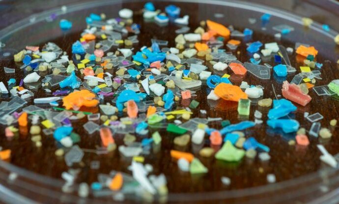 The Invisible Threat: Unraveling the Health Effects of Microplastics