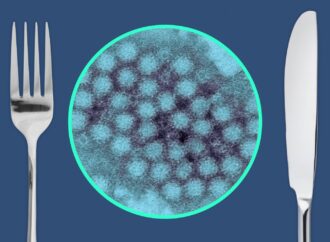 Understanding the Most Viral Foodborne Illnesses: A Global Health Concern