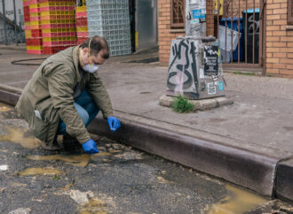 Strengthening Our Defenses: Pandemic Preparedness in the Face of Avian Influenza