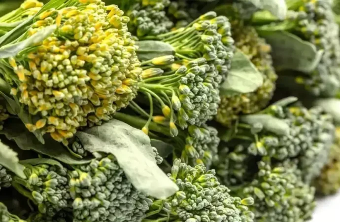 Unlocking Broccoli’s Power: A Guide to Harnessing its Blood Sugar Benefits