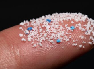 Unveiling the Invisible: Microplastics in Human Tissues