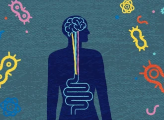 Unveiling the Mysteries of the Gut Microbiome: A New Frontier in Multiple Sclerosis Research