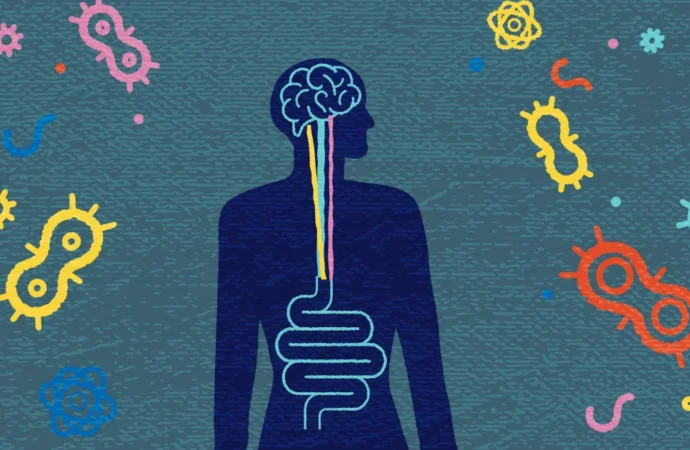 Unveiling the Mysteries of the Gut Microbiome: A New Frontier in Multiple Sclerosis Research