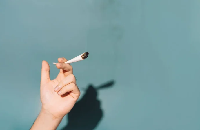 Exploring the Complex Relationship Between Cannabis and Mental Health