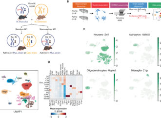 The Future of Personalized Medicine: How Technology is Revolutionizing Healthcare