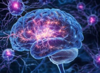 Unlocking Alzheimer’s: The Cellular Gatekeepers of Memory