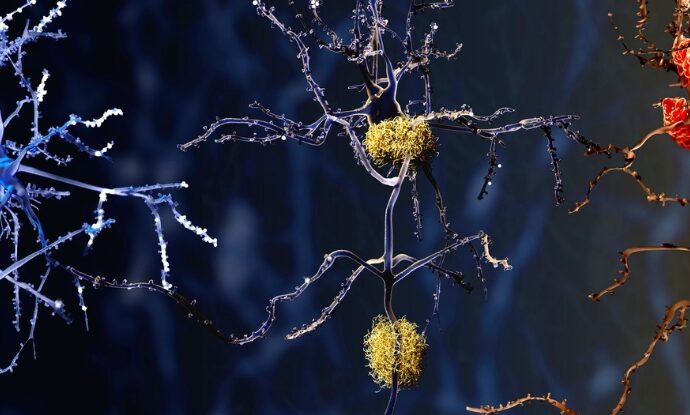 Unveiling the Mysteries of Microglia: Hope for Alzheimer’s Disease