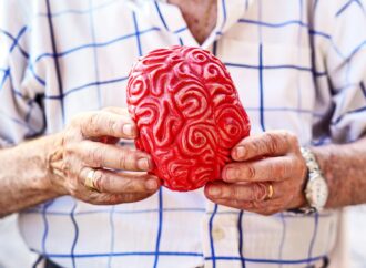 Unlocking the Midlife Window: A New Era in Brain Aging Prevention