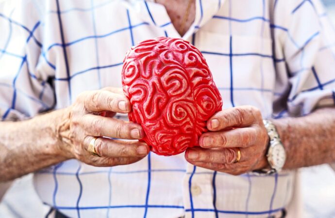 Unlocking the Midlife Window: A New Era in Brain Aging Prevention