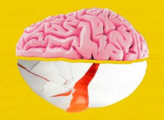 Choline: The Essential Nutrient Your Brain Deserves