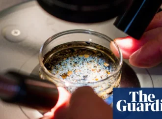 Microplastics and Reproductive Health: Uncovering the Hidden Threat