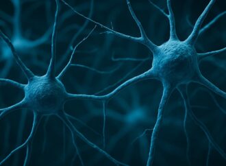 The Brain’s Hidden Janitors: Unveiling a New Frontier in Neurodegeneration
