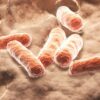 Harnessing the Power Within: Gut Microbes and Natural Blood Sugar Regulation