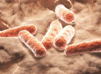 Harnessing the Power Within: Gut Microbes and Natural Blood Sugar Regulation