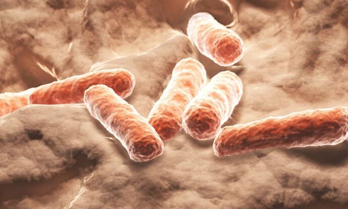 Harnessing the Power Within: Gut Microbes and Natural Blood Sugar Regulation