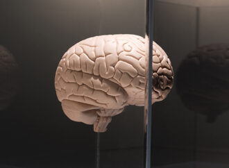 Nanoparticles: The Key to Unlocking the Brain’s Defenses?