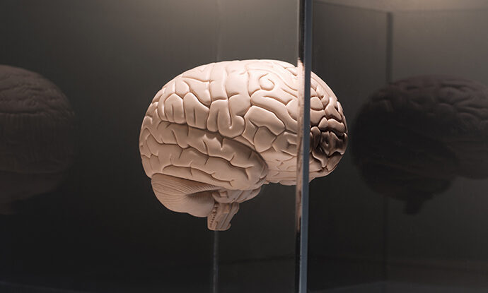 Nanoparticles: The Key to Unlocking the Brain’s Defenses?