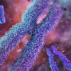 Unlocking the Secrets of Life: How Telomeres at Birth Predict Longevity