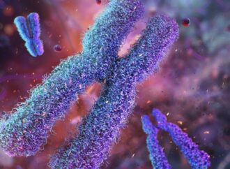 Unlocking the Secrets of Life: How Telomeres at Birth Predict Longevity