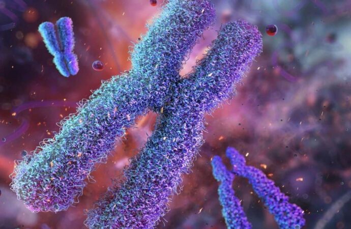 Unlocking the Secrets of Life: How Telomeres at Birth Predict Longevity