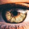 A New Dawn in Vision Repair: Unlocking the Eye’s Self-Healing Potential