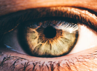 A New Dawn in Vision Repair: Unlocking the Eye’s Self-Healing Potential