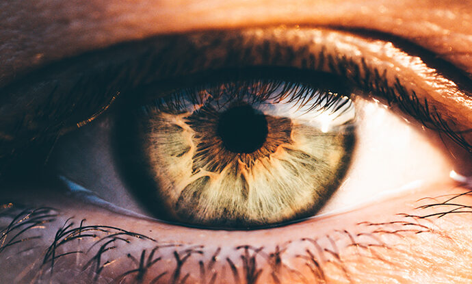 A New Dawn in Vision Repair: Unlocking the Eye’s Self-Healing Potential