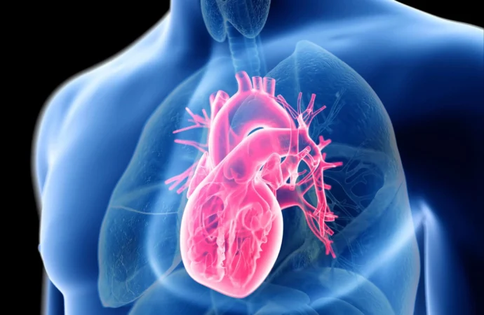The Heart’s Hidden Risk: Unveiling a Surprising Trigger for Heart Damage