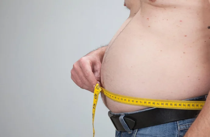 Unlocking the Secrets of Belly Fat: New Stem Cells and Their Role in Aging